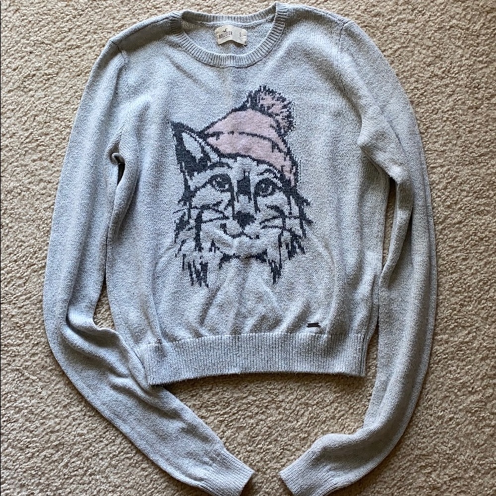 Kitten Sweater
